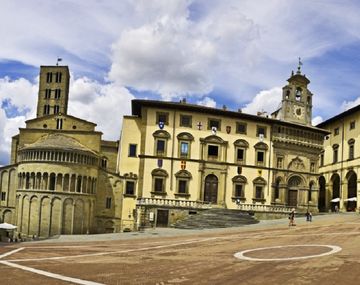 Alarma por un gato que murió tras morder a su dueña y estaba infectado con un rarísimo virus