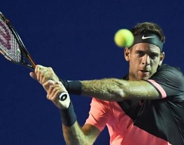 Del Potro vs. David Ferrer