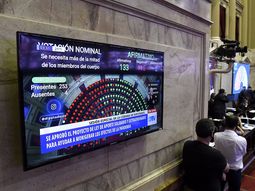 Diputados dio media sanción y giró al Senado el impuesto por única vez a la riqueza