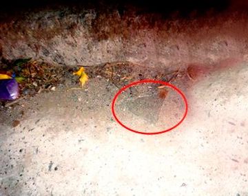 Crédito: La Voz de Tandil