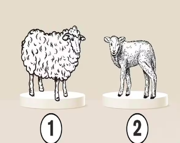 Test viral: el animal que elijas revelará el defecto que siempre intentás ocultar