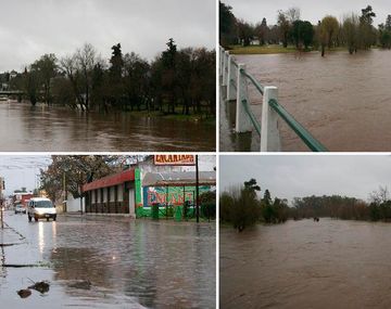 El panorama es favorable porque bajó el agua