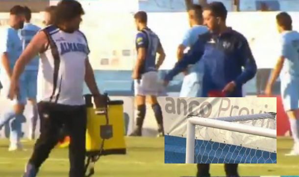 Abejas en el partido de Almagro y Temperley