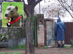 Foto ilustrativa. Foto ilustrativa.