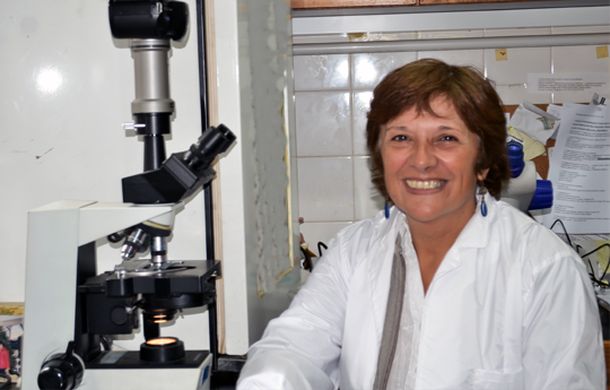 Desarrollan un insecticida saludable para el medio ambiente