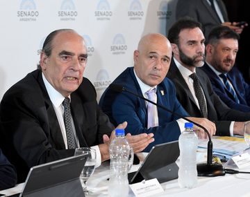 Comenzó el debate de la Ley Bases en el Senado: EN VIVO minuto a minuto