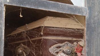 el dolor de una madre: intento romper el cajon para llevarse el cuerpo de su hijo el dolor de una madre: intento romper el cajon para llevarse el cuerpo de su hijo