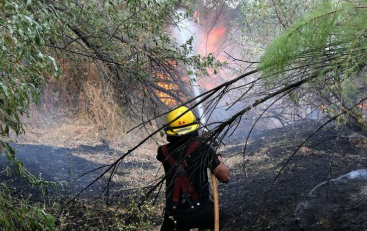 Los vecinos los echaron porque querían seguir quemando basura