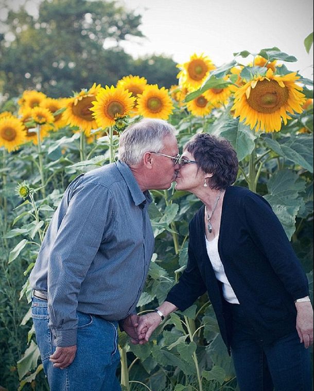 Plantó miles de girasoles en honor a su esposa fallecida