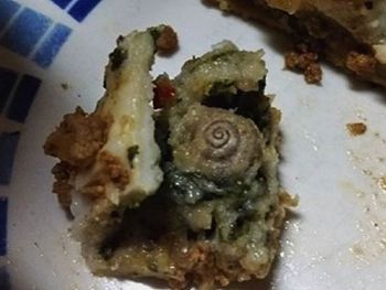 Halló un caracol en la comida del hospital de Bahía Blanca