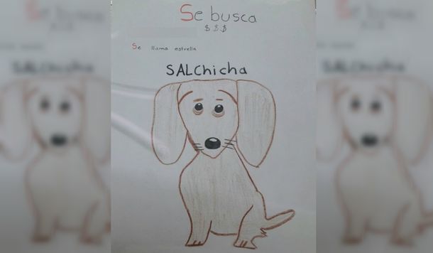 Se le perdió su perrita, no tiene fotos y la busca con un dibujo