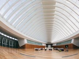 Sin estanterías: conocé esta biblioteca sin ningún libro físico en Estados Unidos