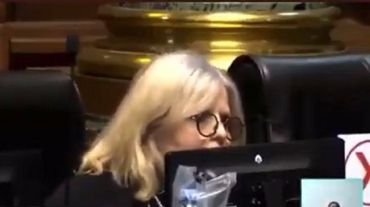 El discurso discriminatorio de una legisladora macrista que habló de peste rosa