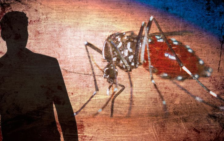 Reportaron el primer casi de dengue en La Pampa