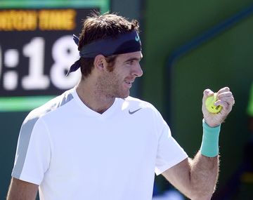 Del Potro saludó al equipo argentino por la victoria