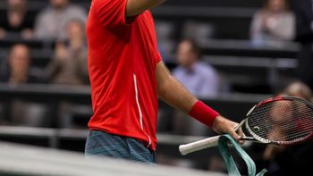 del potro renuncio una vez mas a representar al pais en la copa davis del potro renuncio una vez mas a representar al pais en la copa davis