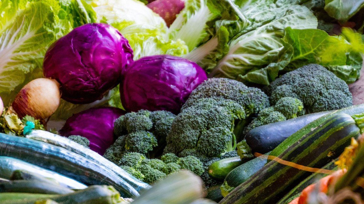 Día Mundial de la Alimentación: por qué se celebra el 16 de octubre