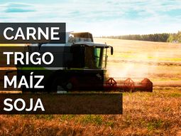 asi es el nuevo esquema de retenciones dispuesto por mauricio macri asi es el nuevo esquema de retenciones dispuesto por mauricio macri