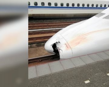 Las autoridades encontraron los restos de un hombre de 52 años en la trompa del tren bala