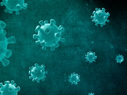 N5017: los detalles de la nueva cepa de coronavirus que pone en alerta al mundo