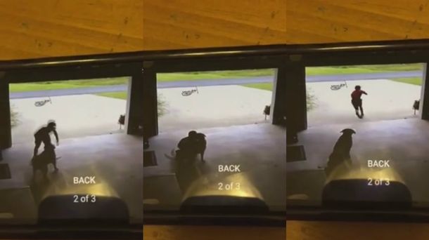 Un chico se metía en la casa de su vecina sólo para abrazar a su perra