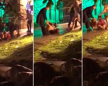Brutal pelea entre tres chicas durante una fiesta de Año Nuevo