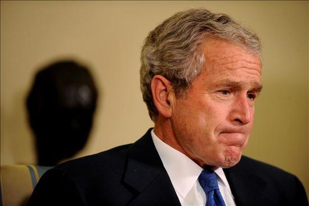 Bush efe