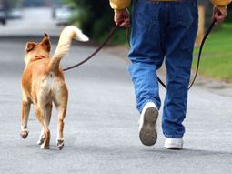 Man_walking_dog