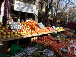 El MGAP espera que en las próximas semanas bajen los precios de frutas y verduras en Uruguay. El MGAP espera que en las próximas semanas bajen los precios de frutas y verduras en Uruguay.