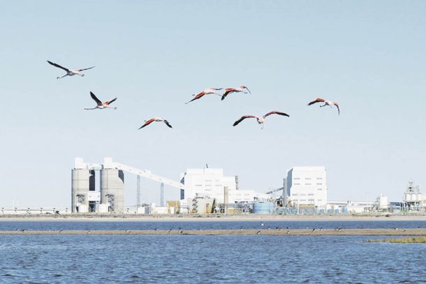 FÁBRICA. La planta de Alpat en San Antonio Oeste