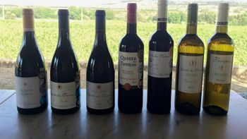 Portugal apuesta al vino Portugal apuesta al vino