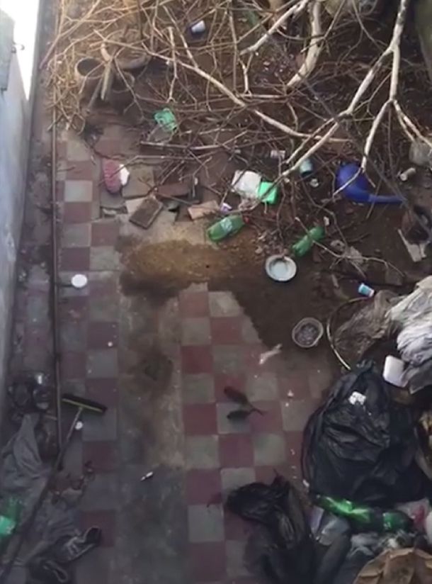 Pánico por el hantavirus en La Plata: un vecino tiene un basural en su casa y alimenta ratas