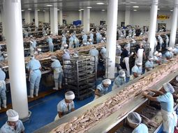 Grupo Pinsa es dueño de los productos Dolores. Grupo Pinsa es dueño de los productos Dolores.