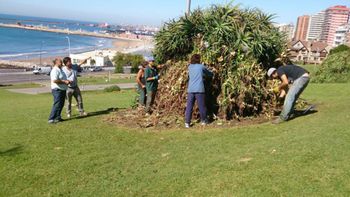 video: asi pasean las ratas por mar del plata video: asi pasean las ratas por mar del plata