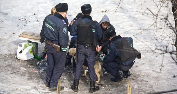 Se pasó 10 años fotografiando el mismo banco y capturó más de lo que esperaba