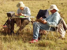 ¿que carrera tiene mejor salida laboral? ¿que carrera tiene mejor salida laboral?