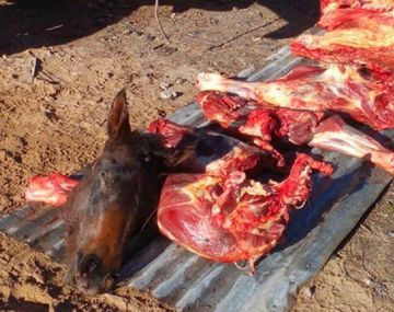 Foto: diario La Mañana de Neuquén.