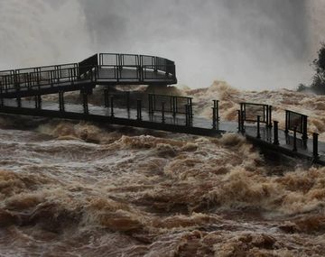 &nbsp;@CuelloViviana