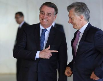 Brasil bloqueó las peras y manzanas argentinas por una plaga