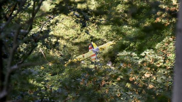 Un piloto alemán se estrelló y estuvo 13 horas atrapado en la copa de un árbol
