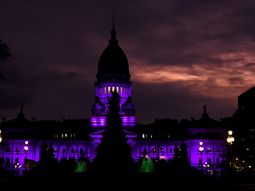 por que el congreso se ilumino de violeta