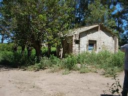 Encontraron el cuerpo de Celeste en el fondo de un aljibe y un hombre confesó el crimen