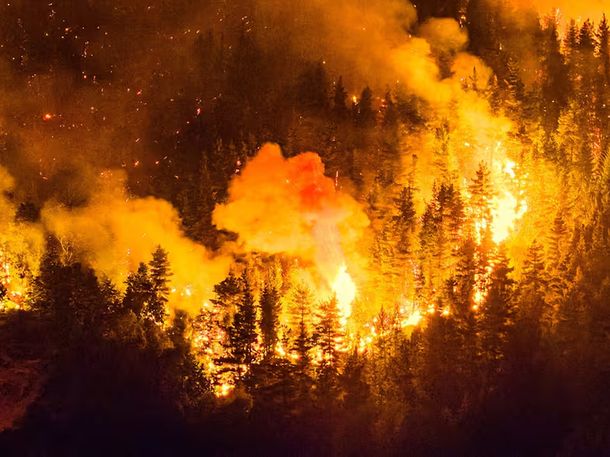 Incendios en Chubut: el fuego avanzó sobre la ruta 40 y la situación está descontrolada