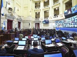 ¿Cuándo arranca el debate por el aborto legal en el Senado?