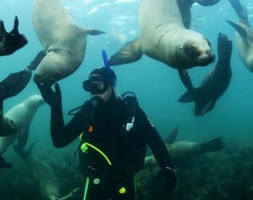 Éstas son las mejores ciudades para practicar buceo en Argentina