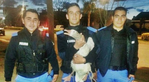 Gentileza La Brújula 24.