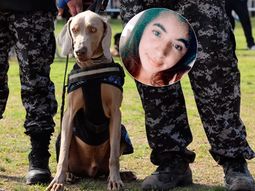 el perro bruno, clave en la investigacion por el crimen de anahi, buscara a camila sotelo el perro bruno, clave en la investigacion por el crimen de anahi, buscara a camila sotelo