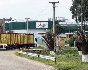 Granja Tres Arroyos: 80 al menos empleados se quedaron sin trabajo y se manifiestan