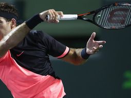 Del Potro cuidará el físico en sus próximos torneos Del Potro cuidará el físico en sus próximos torneos