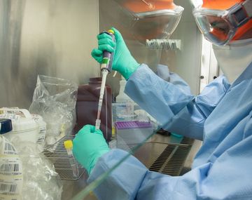 Científicos obtuvieron más de 50 genomas del coronavirus en Argentina